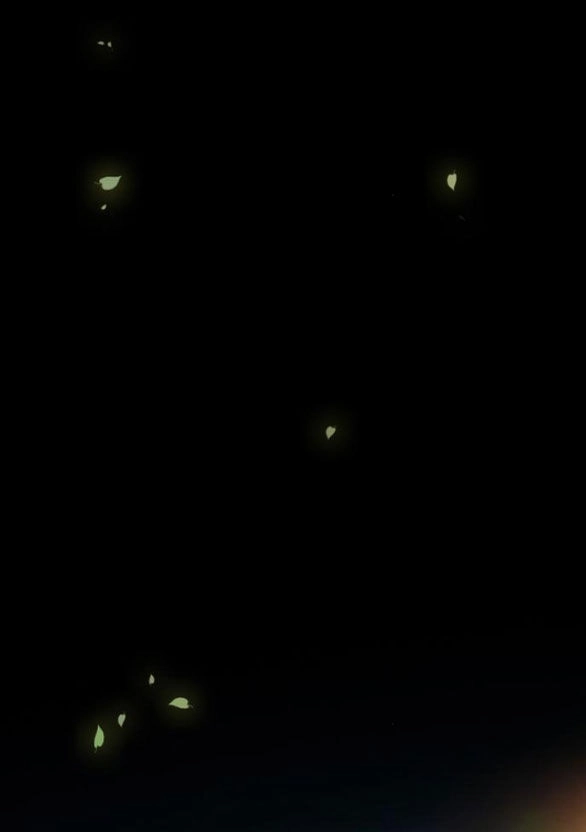 Serena Chapter 45.2 - 27