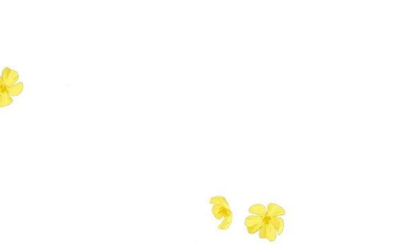 Serena Chapter 46.2 - 41