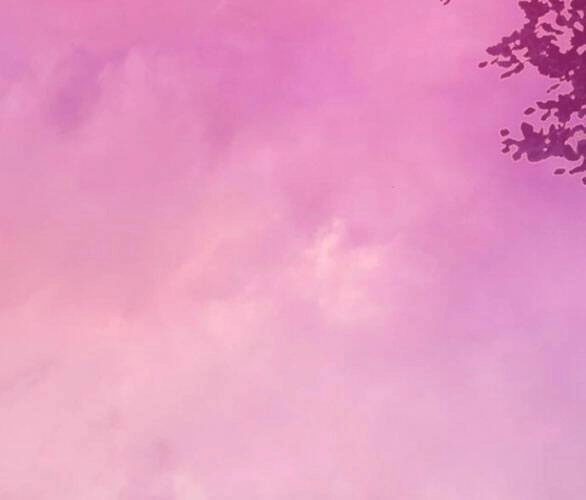 Serena Chapter 47.2 - 44