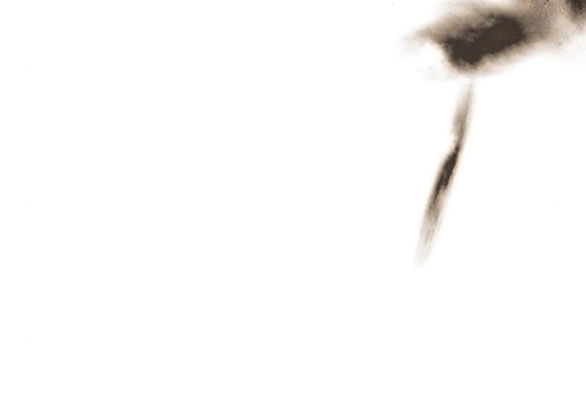 Serena Chapter 48.2 - 61