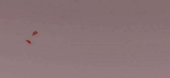 Serena Chapter 49.2 - 25