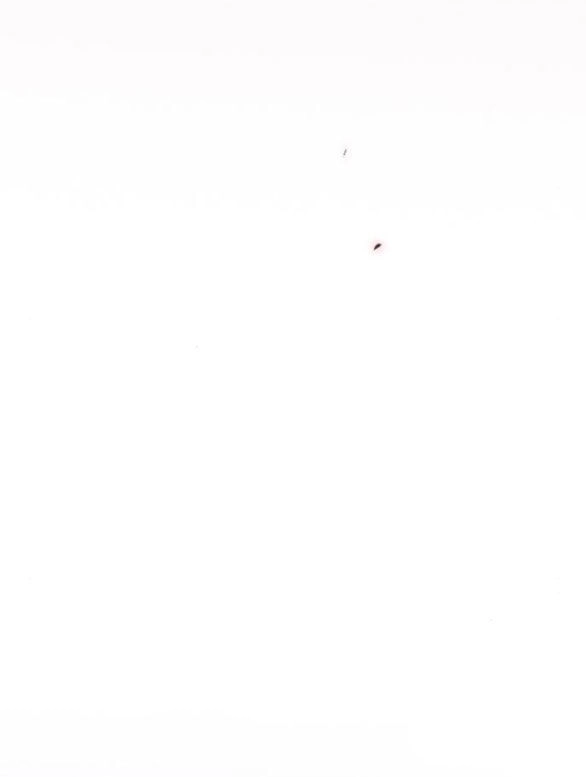 Serena Chapter 51.1 - 49