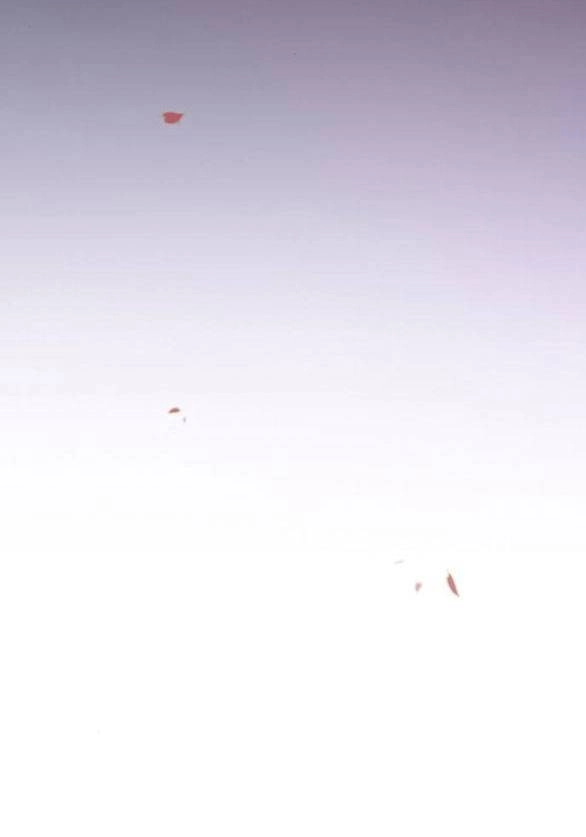 Serena Chapter 52.1 - 85