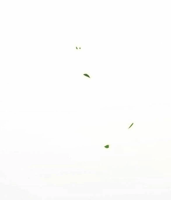 Serena Chapter 52.2 - 32