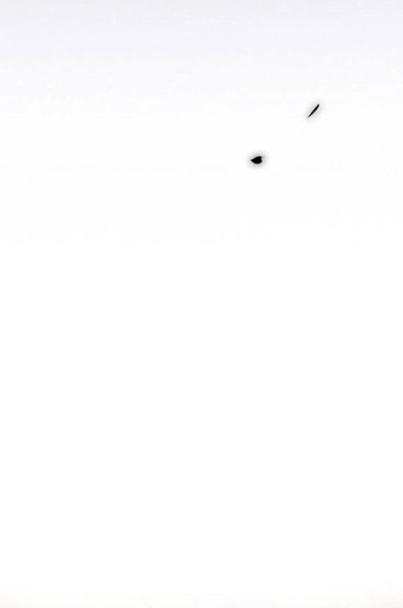 Serena Chapter 55.2 - 27