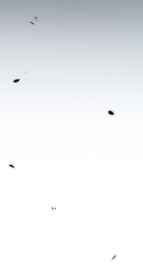 Serena Chapter 57.1 - 28