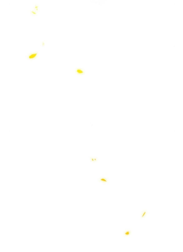 Serena Chapter 81.1 - 29