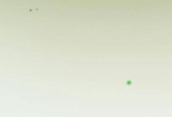 Serena Chapter 24.1 - 23