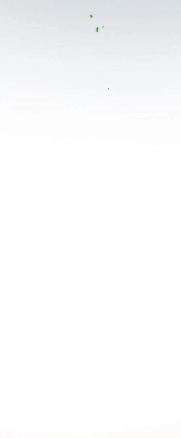 Serena Chapter 35.1 - 50