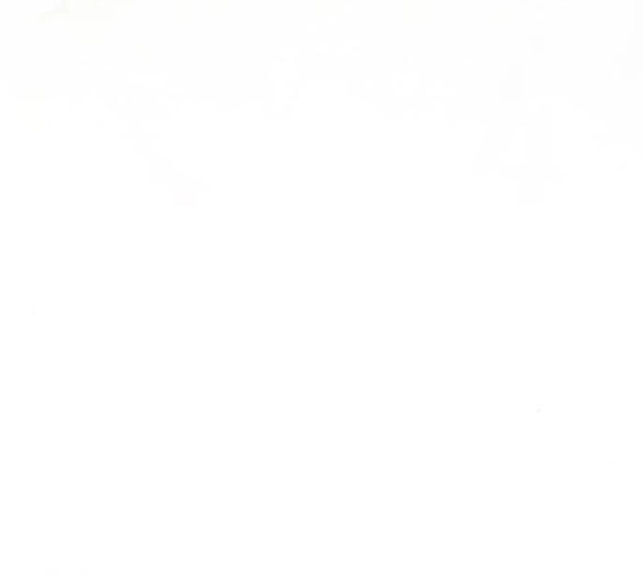 Serena Chapter 38.2 - 64