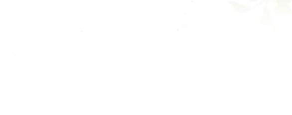 Bạo Chúa Muốn Có Cuộc Sống Tốt Đẹp Chapter 43.1 - 62