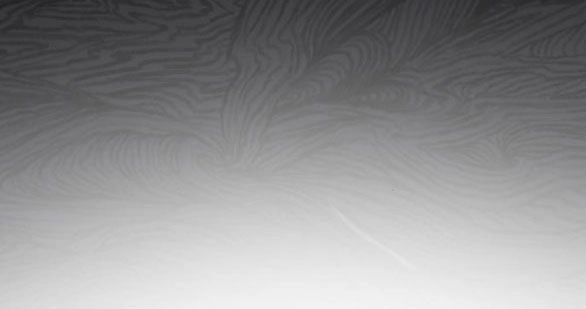 Bạo Chúa Muốn Có Cuộc Sống Tốt Đẹp Chapter 48.2 - 48