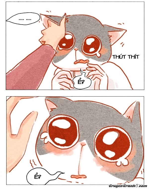 Hey, Your Cat Ears Are Showing Chapter 2 - 5