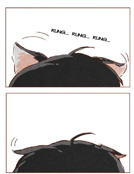 Hey, Your Cat Ears Are Showing Chapter 9 - 2