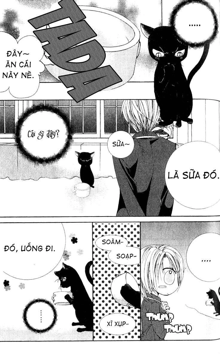 Adventure And Trouble Diary Chapter 1 - 33