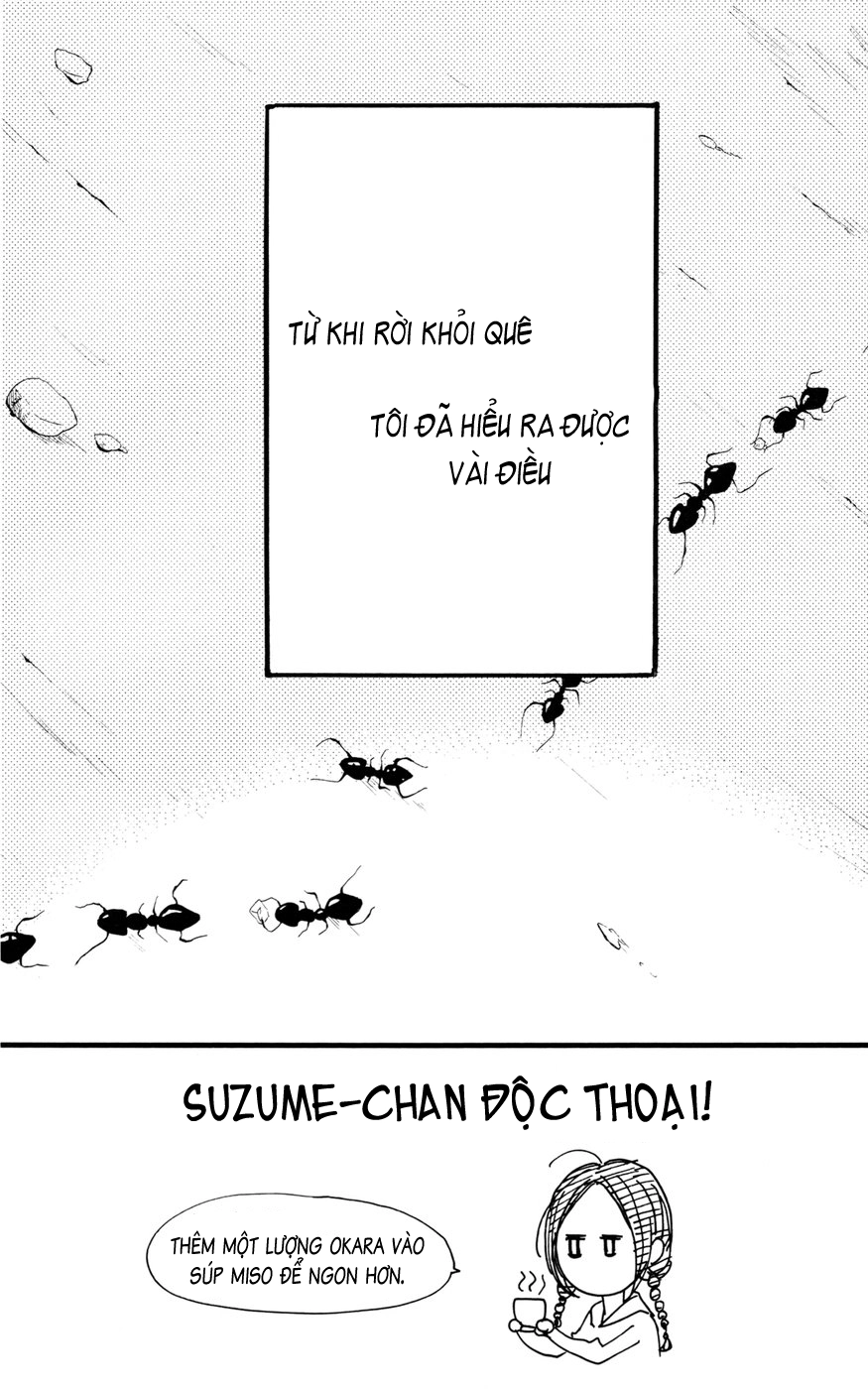 Sao Mai Của Em Chapter 2 - 2