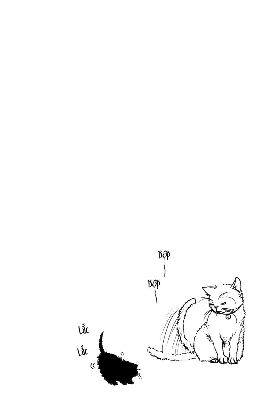 Say I Love You Chapter 10 - 4