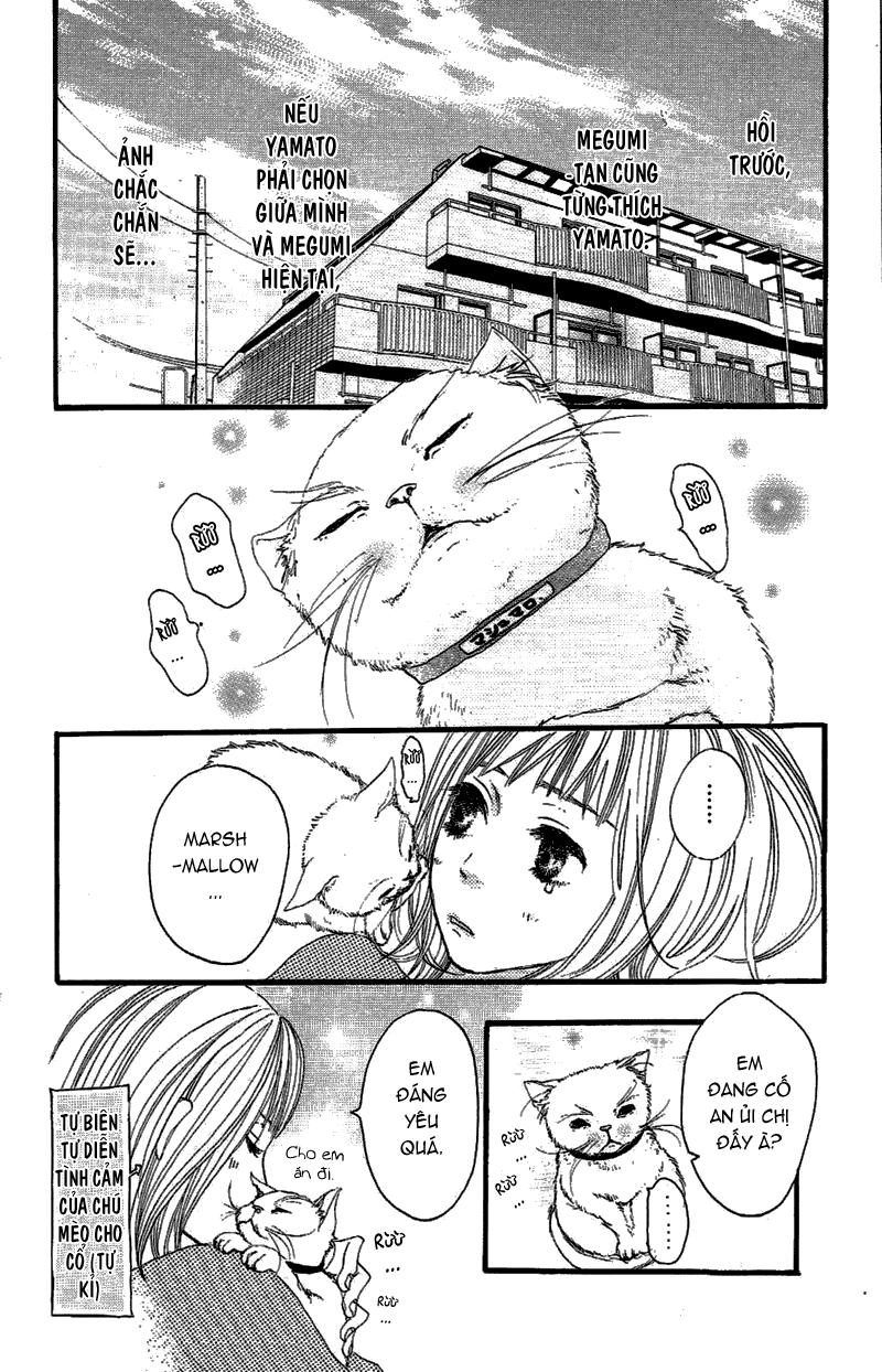 Say I Love You Chapter 14 - 11