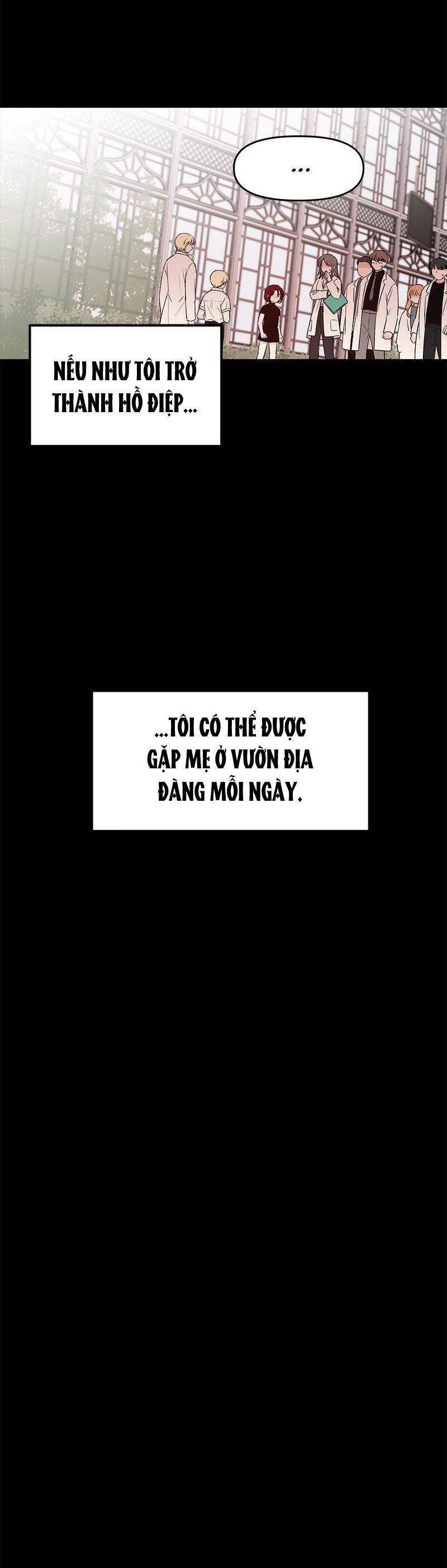 Bươm Bướm Và Máu Chapter 37 - 17