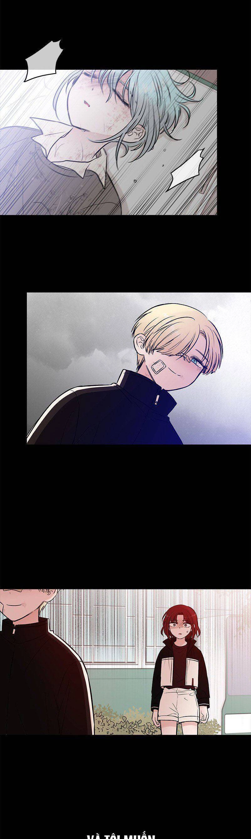 Bươm Bướm Và Máu Chapter 41 - 48