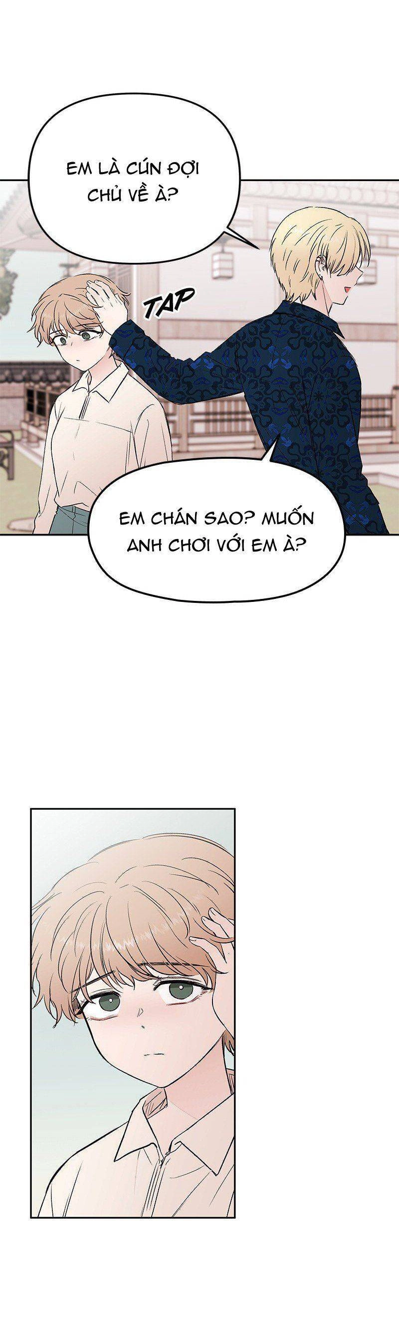 Bươm Bướm Và Máu Chapter 42 - 5