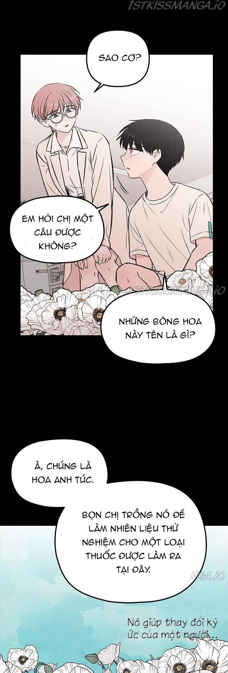 Bươm Bướm Và Máu Chapter 57 - 5