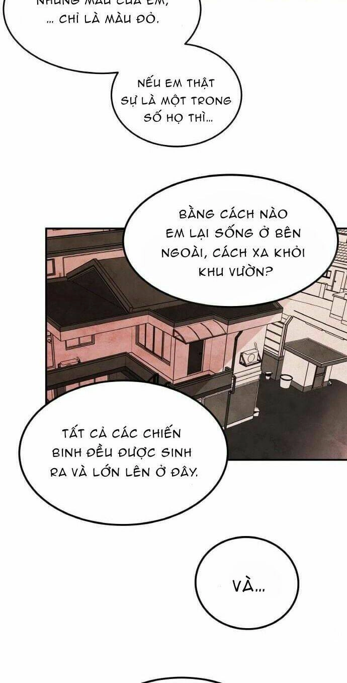 Bươm Bướm Và Máu Chapter 4 - 15