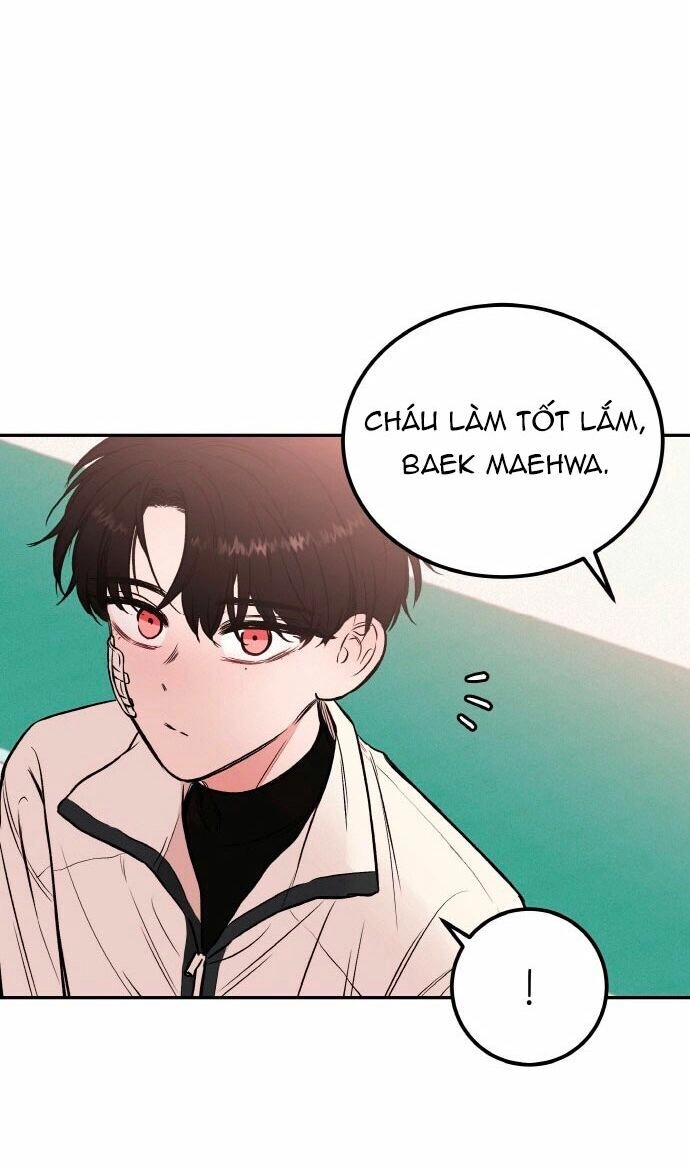 Bươm Bướm Và Máu Chapter 6 - 13