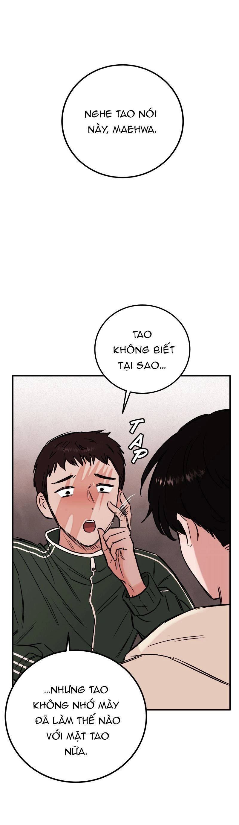 Bươm Bướm Và Máu Chapter 13 - 17