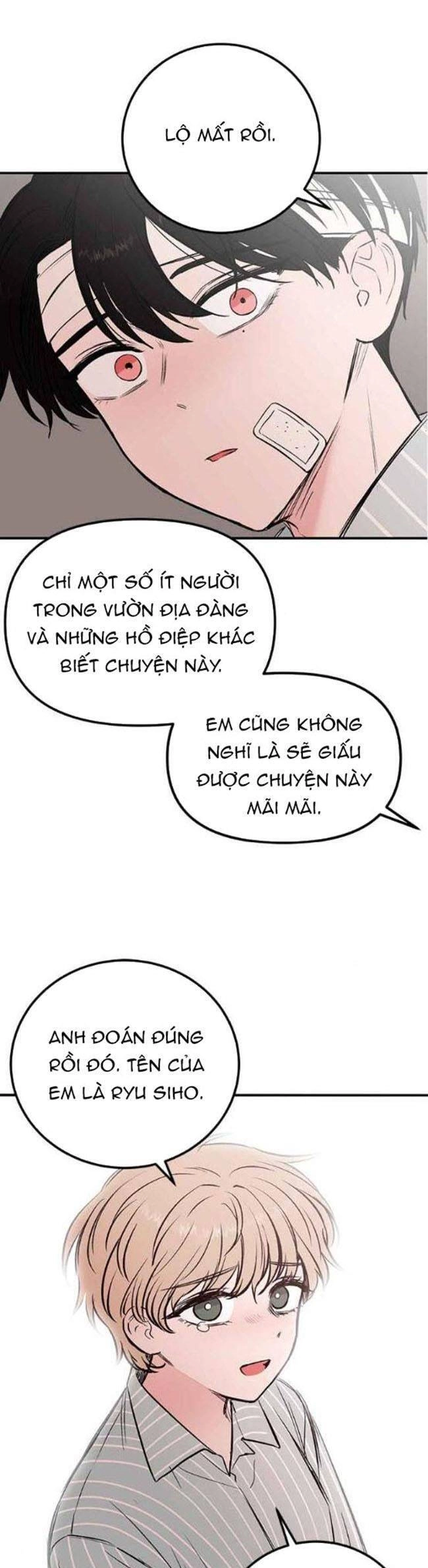 Bươm Bướm Và Máu Chapter 22 - 5