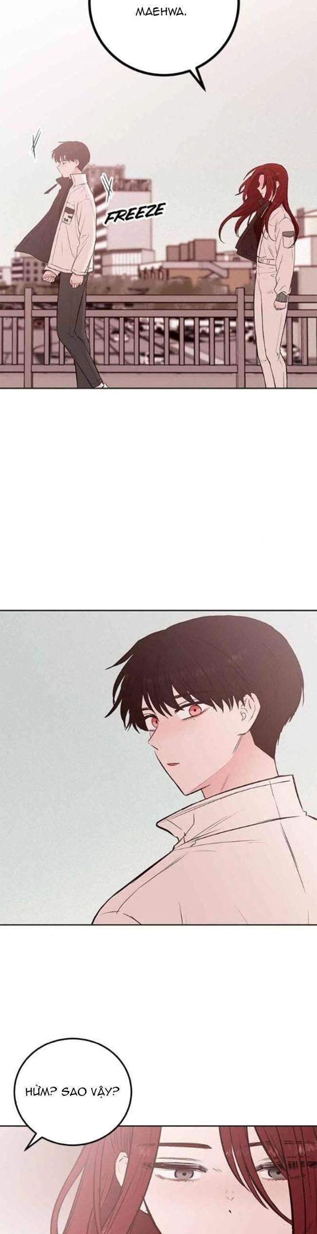 Bươm Bướm Và Máu Chapter 24 - 35