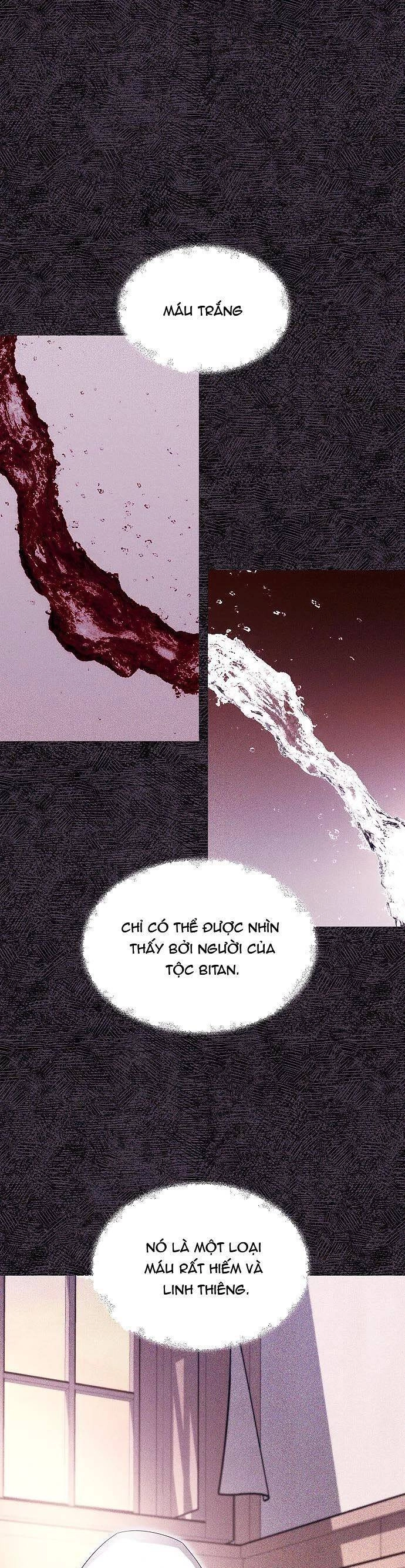 Săn Lùng Nữ Chúa Chapter 27 - 22