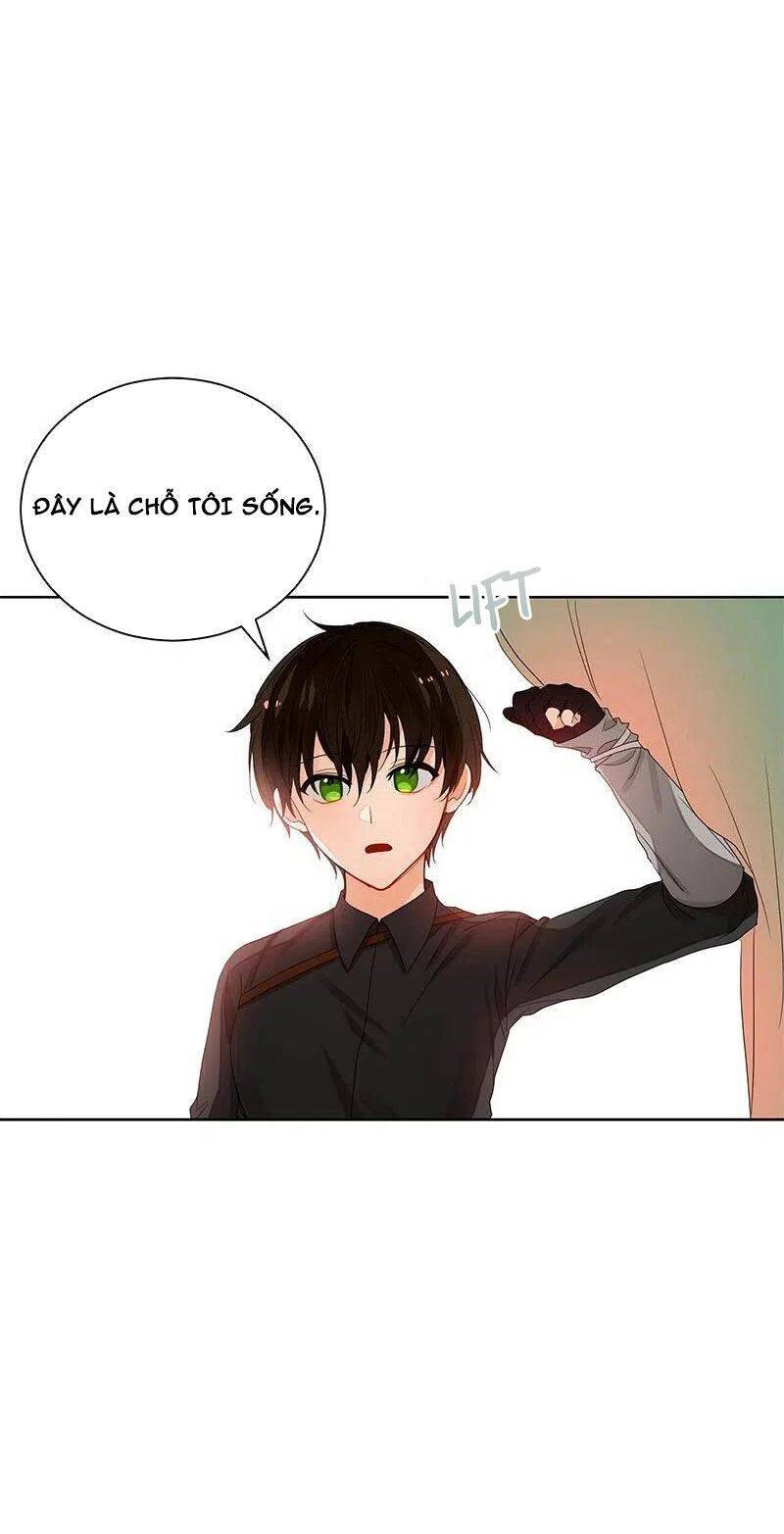 Huyết Nghiệp Kị Sĩ Chuyển Sinh Chapter 76 - 20