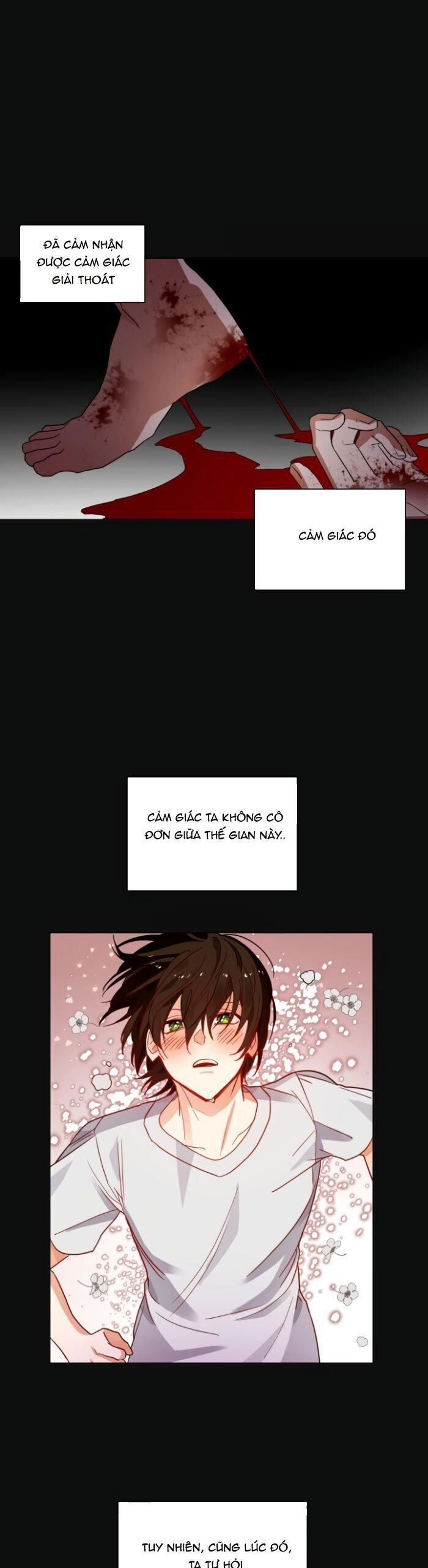 Huyết Nghiệp Kị Sĩ Chuyển Sinh Chapter 56 - 7