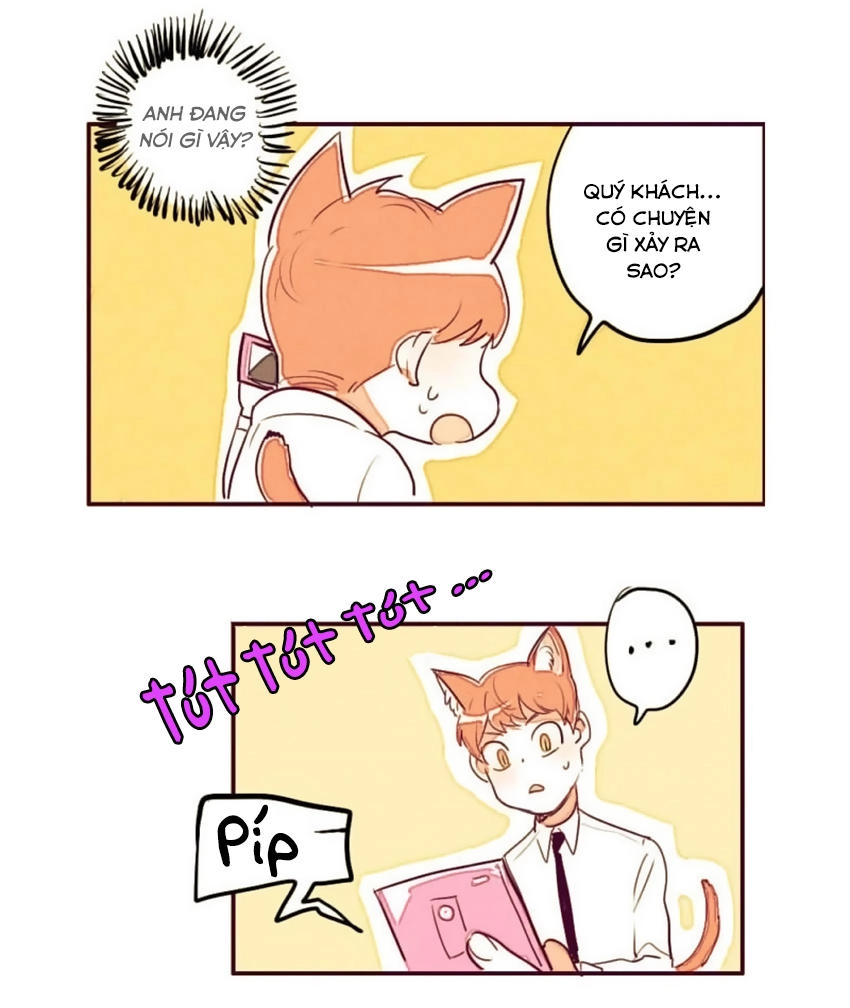 Cưới, Tôi Ư Chapter 5 - 9