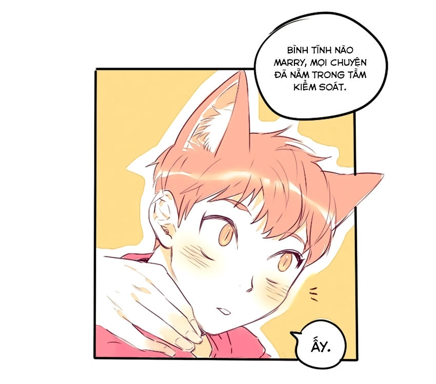 Cưới, Tôi Ư Chapter 11 - 28