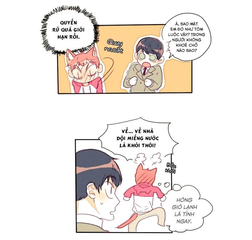 Cưới, Tôi Ư Chapter 15 - 20