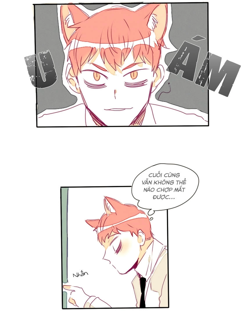 Cưới, Tôi Ư Chapter 16 - 16