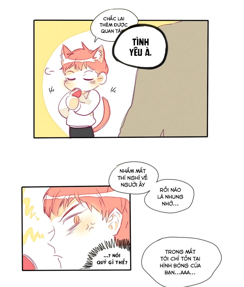 Cưới, Tôi Ư Chapter 16 - 18