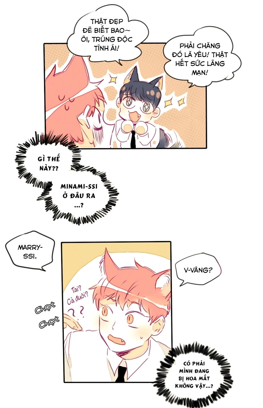 Cưới, Tôi Ư Chapter 16 - 20