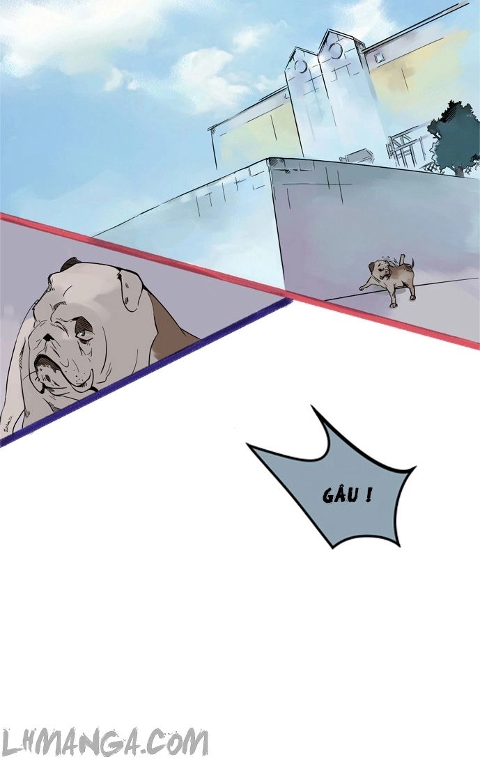 Wolf’s Castle Chapter 8 - 10