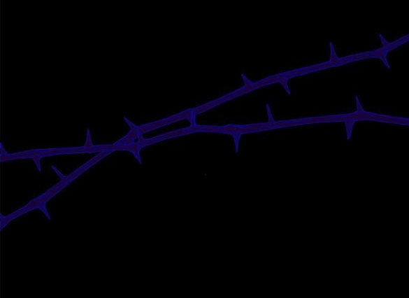 Chị Gái À, Kiếp Này Em Chính Là Nữ Hoàng Chapter 60.1 - 38