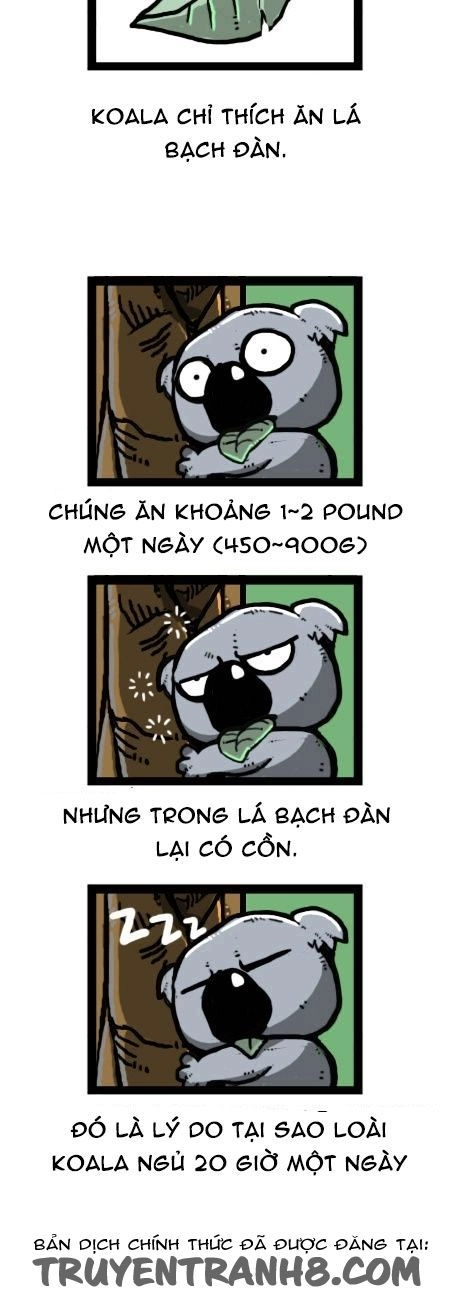 Earth, Human, And Animal Chapter 25 - 19