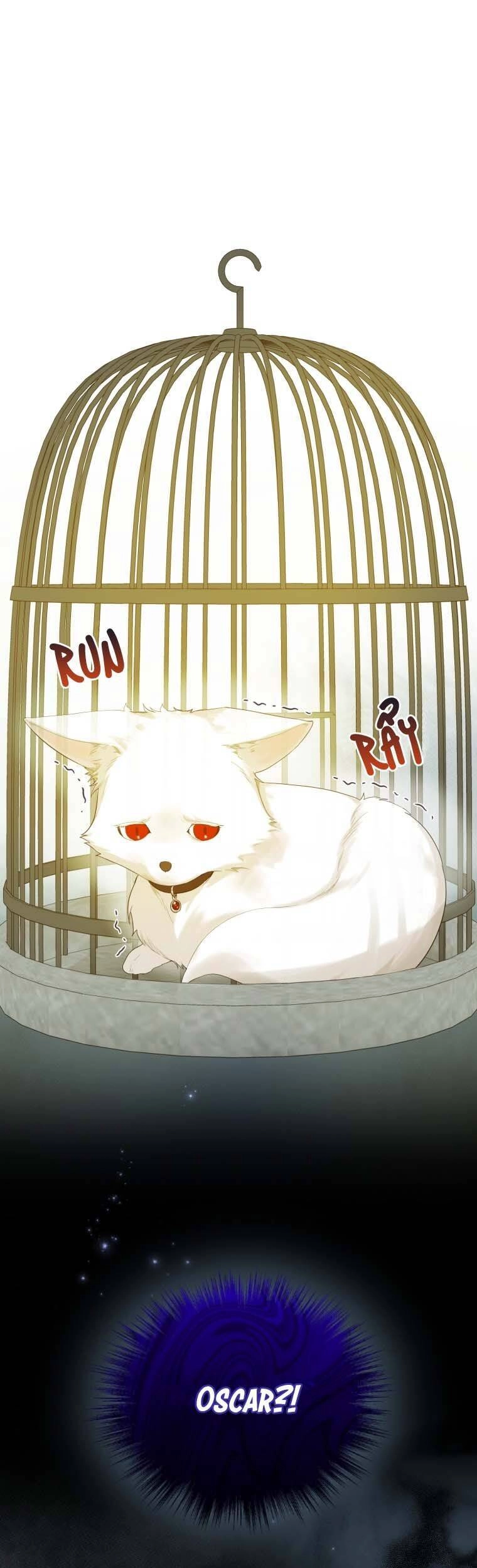 Tôi Trở Thành Em Gái Của Nam Chính Tiểu Thuyết Bl Chapter 11 - 1