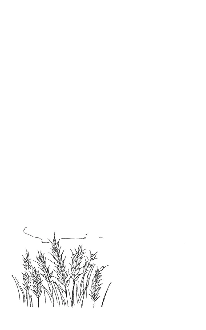 Shiki No Zenjitsu Chapter 5 - 32