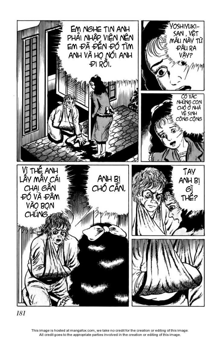 Fourteen Chapter 11 - 15