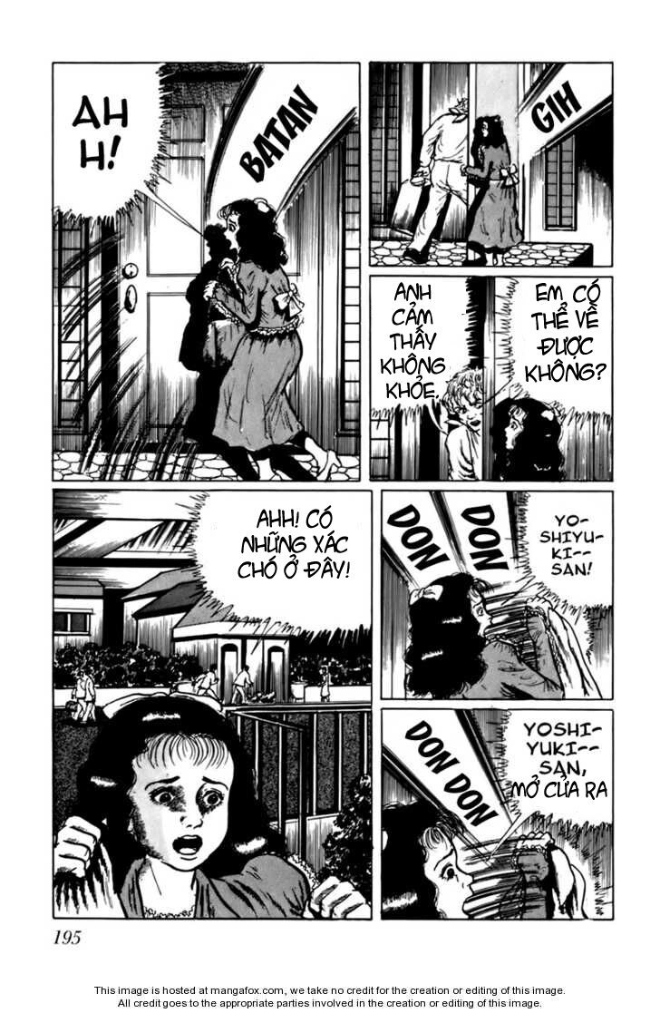 Fourteen Chapter 12 - 13