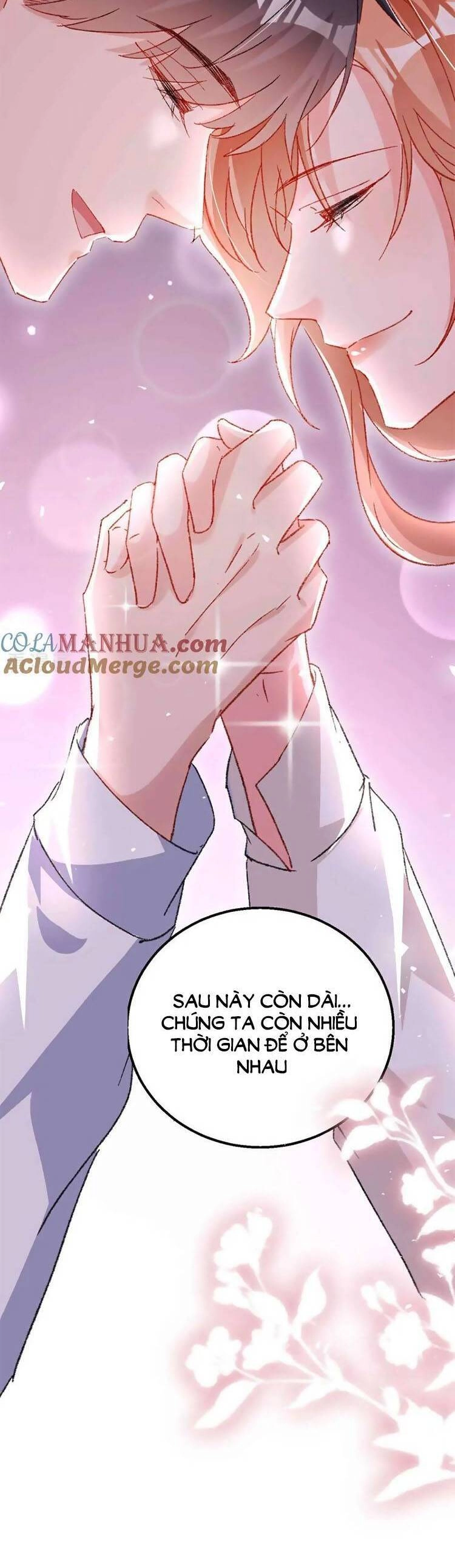 Hôm Nay Từ Chối Lục Tiên Sinh Chưa? Chapter 205 - 8