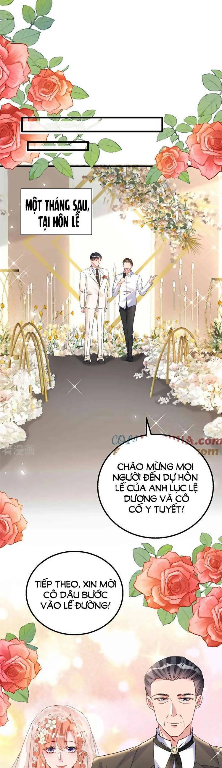 Hôm Nay Từ Chối Lục Tiên Sinh Chưa? Chapter 205 - 15