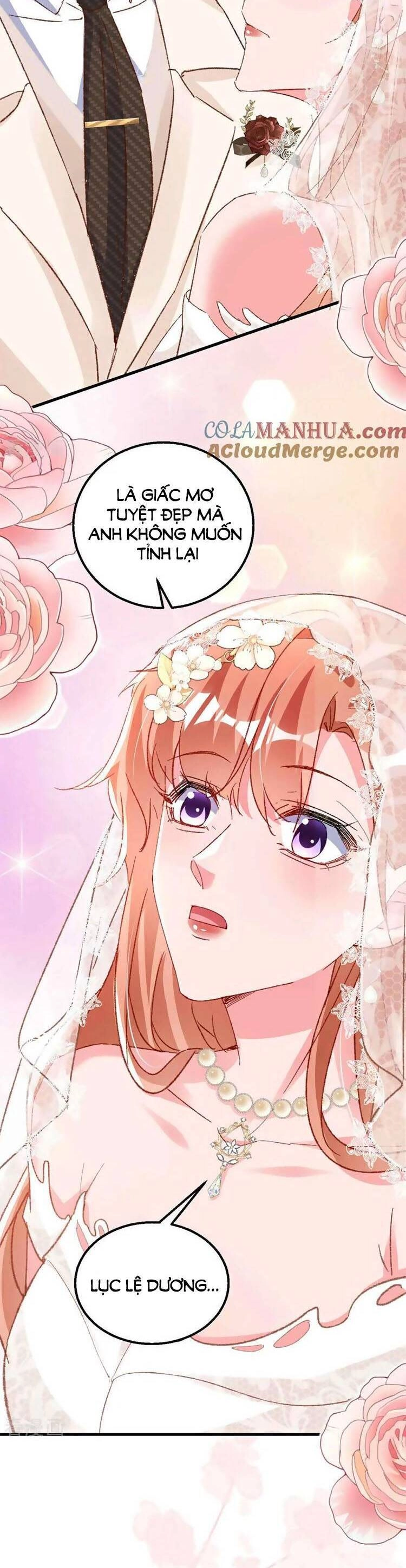 Hôm Nay Từ Chối Lục Tiên Sinh Chưa? Chapter 205 - 23